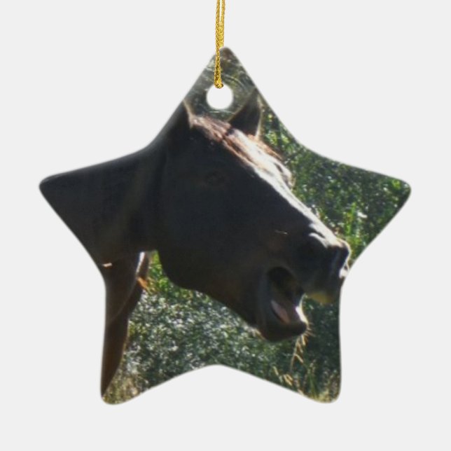 Horse in Autumn Ceramic Tree Decoration (Front)