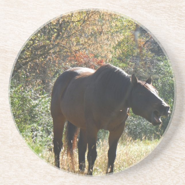 Horse in Autumn Coaster (Front)