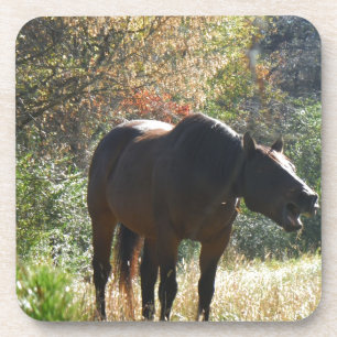 Horse in Autumn Coaster