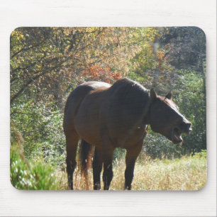 Horse in Autumn Mouse Mat