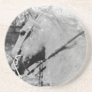 Horse in Black and White Coaster