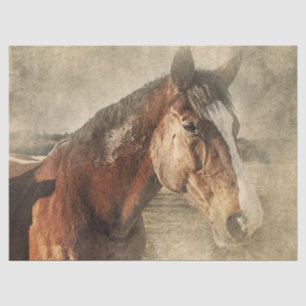 Horse in Dust Tissue Paper