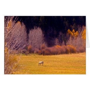 Horse In Fall I