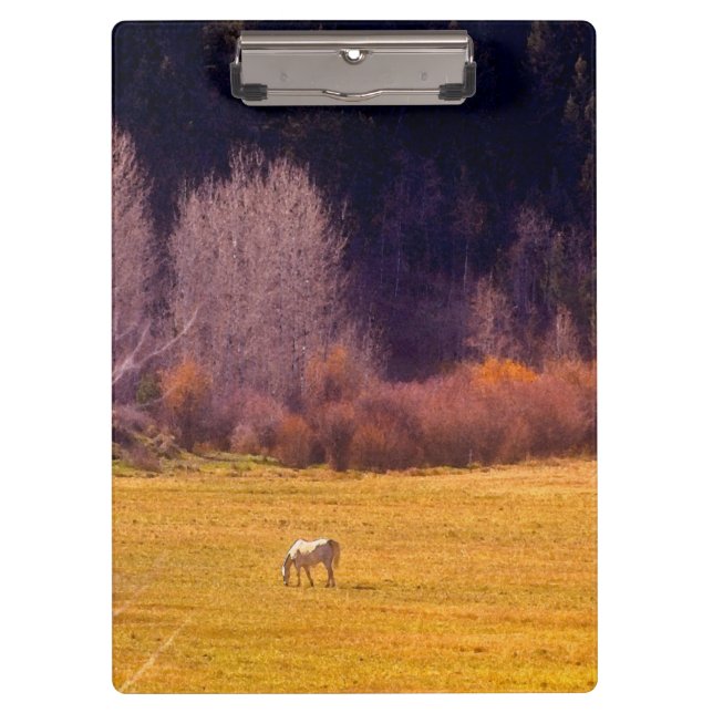 Horse In Fall I Clipboard (Front)