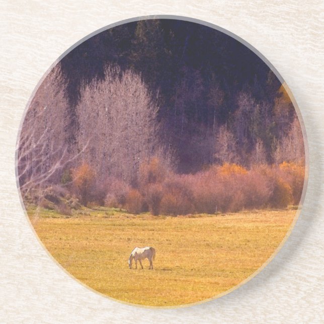 Horse In Fall I Coaster (Front)