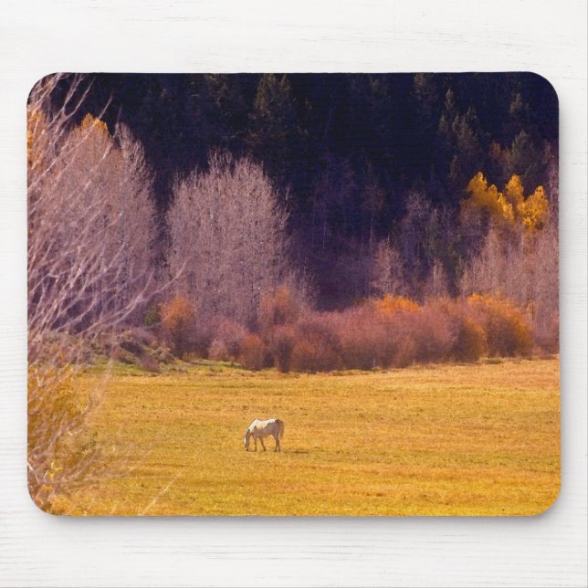 Horse In Fall I Mouse Mat (Front)
