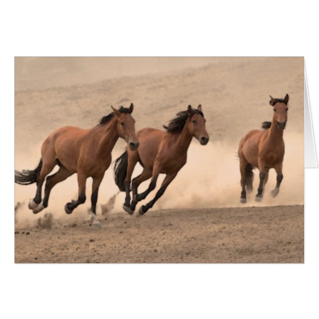 Horse In Fall II (Front Horizontal)