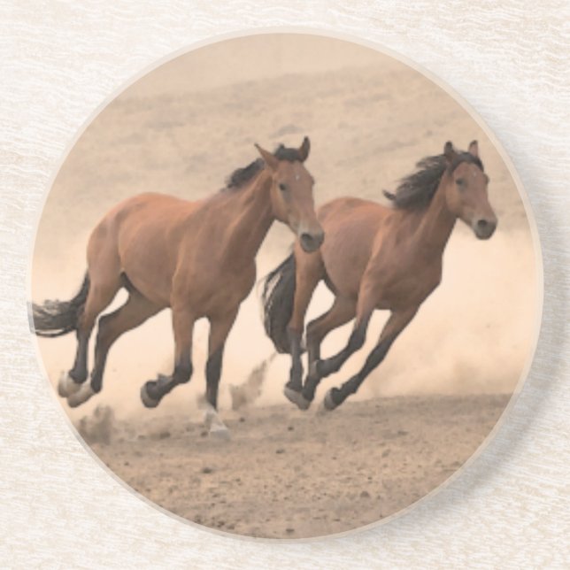 Horse In Fall II Coaster (Front)