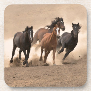 Horse In Fall II Coaster