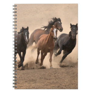 Horse In Fall II Notebook