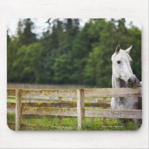 Horse in field looking over fence mouse mat