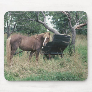 Horse in field with buggy mouse mat