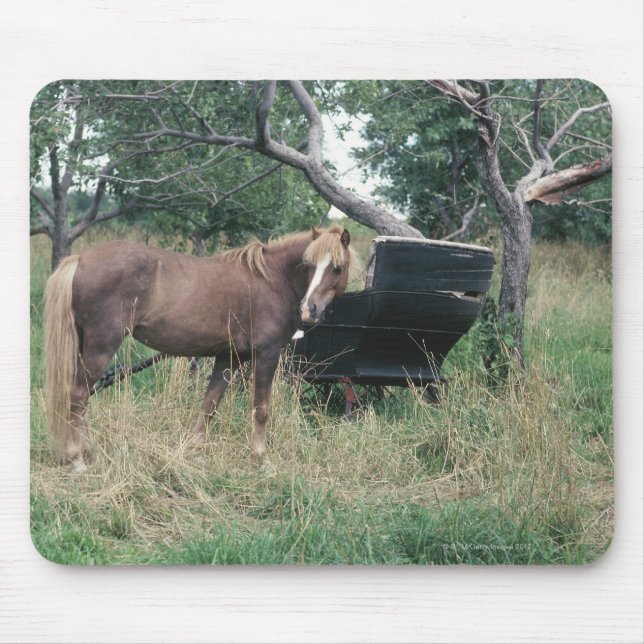 Horse in field with buggy mouse mat (Front)