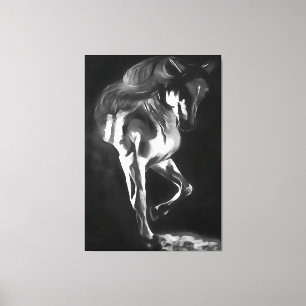 Horse In Grey On Black  Canvas Print