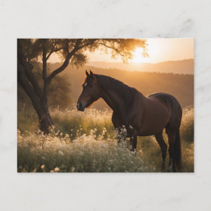 Horse in landscape postcard