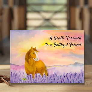 Horse in Lavender Field During Sunset Sympathy Card