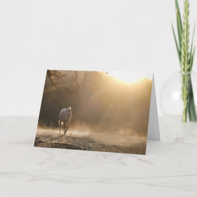 Horse in Light Equine Sympathy Card (Front)
