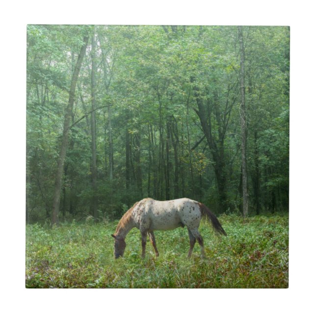 Horse in Meadow Tile (Front)