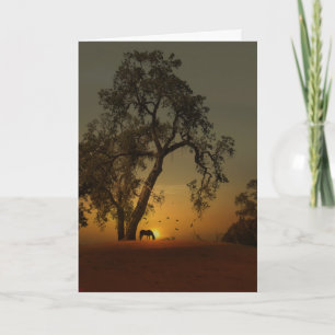 Horse in Nature Beautiful Encouragement Card