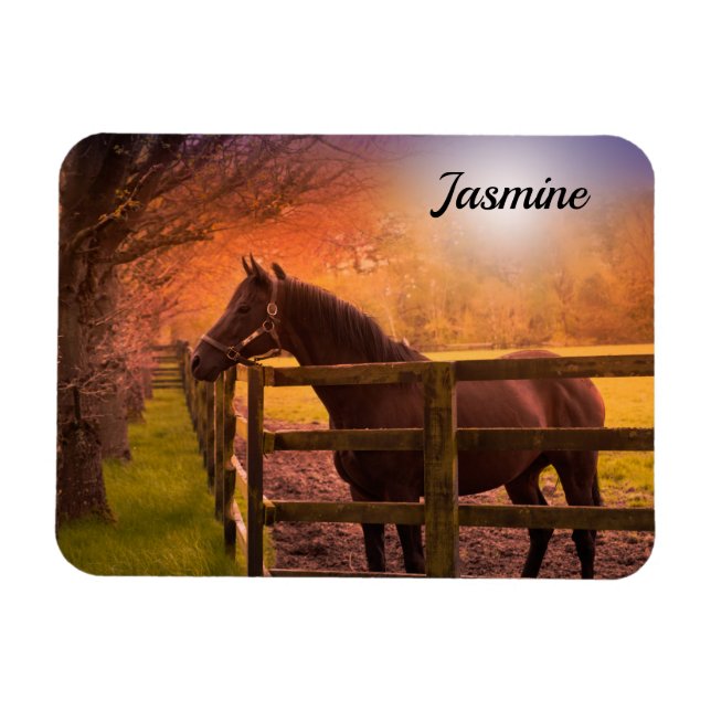 Horse in Paddock Personalised Magnet (Horizontal)
