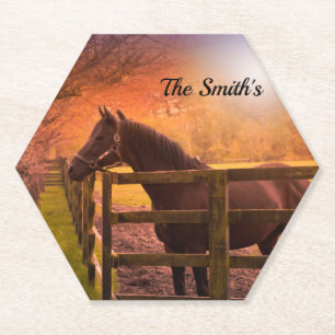 Horse in Paddock Personalised Paper Coaster