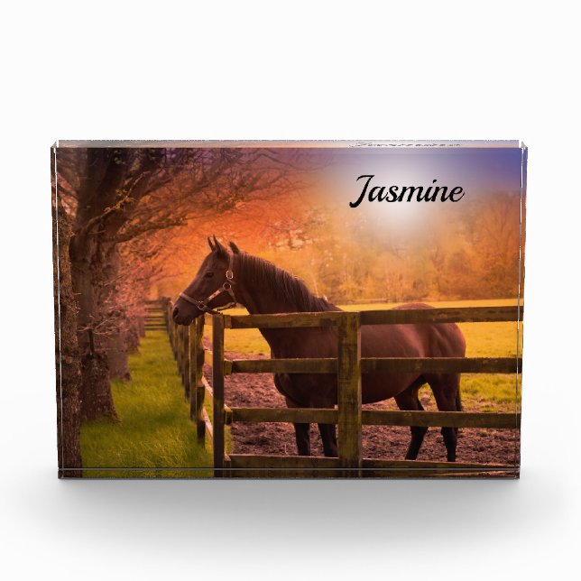 Horse in Paddock Personalised Photo Block (Front)