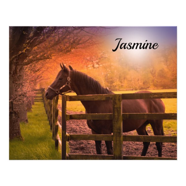 Horse in Paddock Personalised Photo Print (Front)