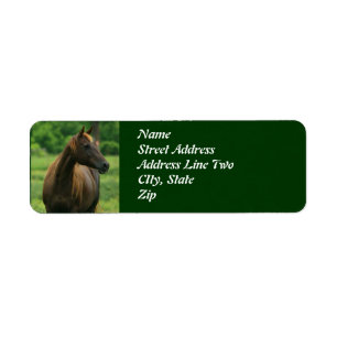 Horse in Pasture Address Labels