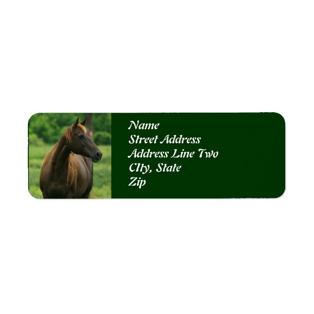 Horse in Pasture Address Labels (Front)