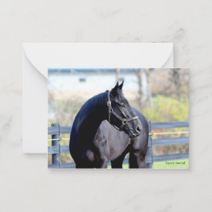 Horse In Pasture Card