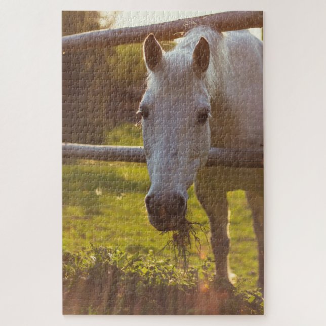 Horse in Pasture Jigsaw Puzzle (Vertical)