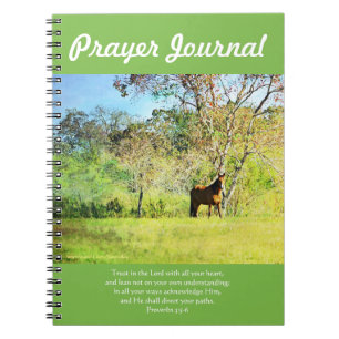 Horse In Pasture Prayer Journal 2-7