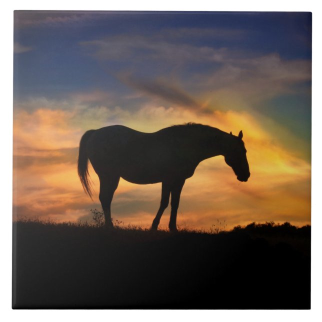 Horse in Southwestern Sunrise Art Tile (Front)