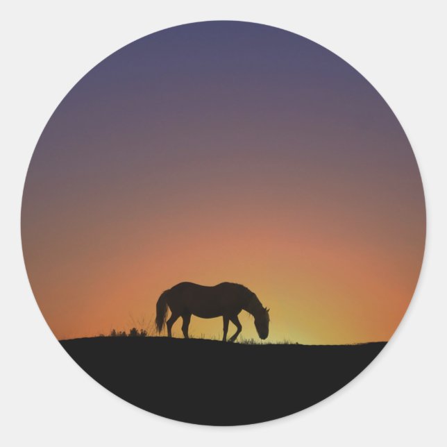 Horse in Southwestern Sunrise Sticker (Front)