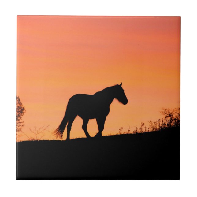 Horse in Southwestern Sunrise Tile (Front)