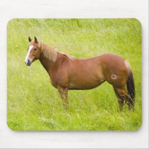 Horse in Spring Field Mouse Mat