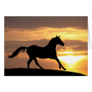 Horse In Sunset