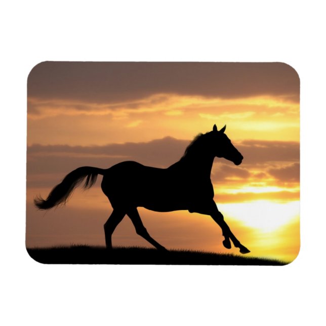 Horse In Sunset Magnet (Horizontal)