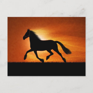 Horse In Sunset Postcard