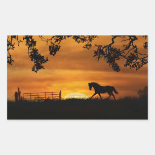 Horse in sunset Sticker