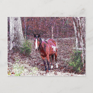 Horse in the Forest Postcard