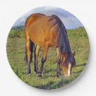 horse in the meadow plate