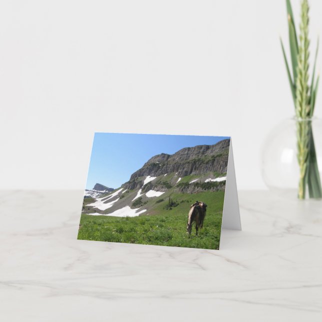 Horse in the Mountains Note Card (Front)