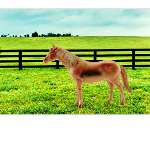 Horse in the Pasture Cushion