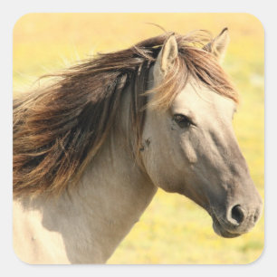 Horse in the wild square sticker