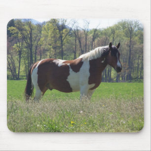 Horse in the Wildflowers Mouse Mat