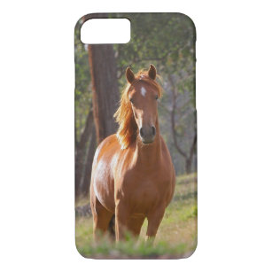 Horse In The Woods iPhone 8/7 Case