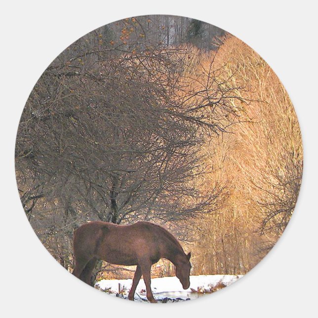 Horse in Winter Classic Round Sticker (Front)