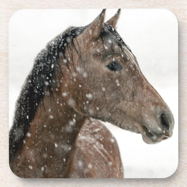 Horse in Winter Coaster (Front)