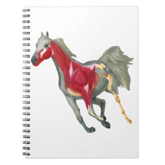 Horse Internal Structure Notebook
